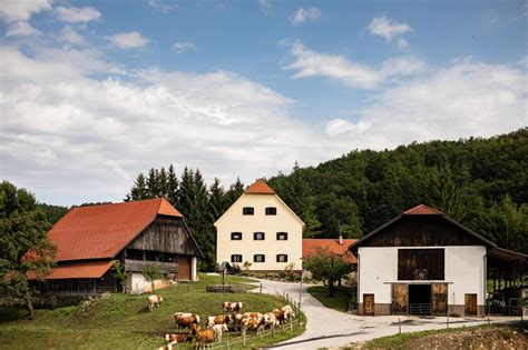 kmetija s sončnicami