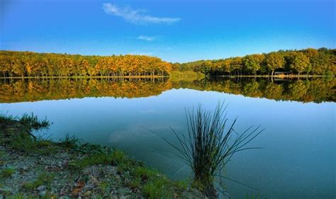 Pogled na Bukovniško jezero s Pustolovskim parkom v bližini