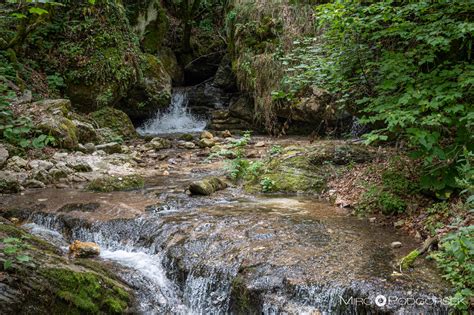 Soteska reke Dragonje