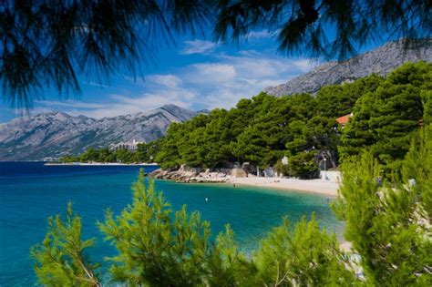 Betonirana plaža z borovci v kampu Pila