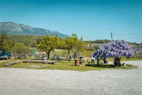 Pogled na turistično kmetijo Marjanca z okolico
