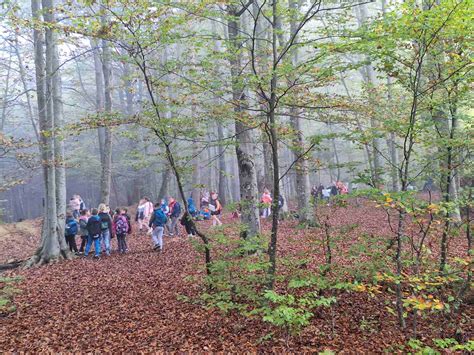 Skupina išče zaklad v gozdu