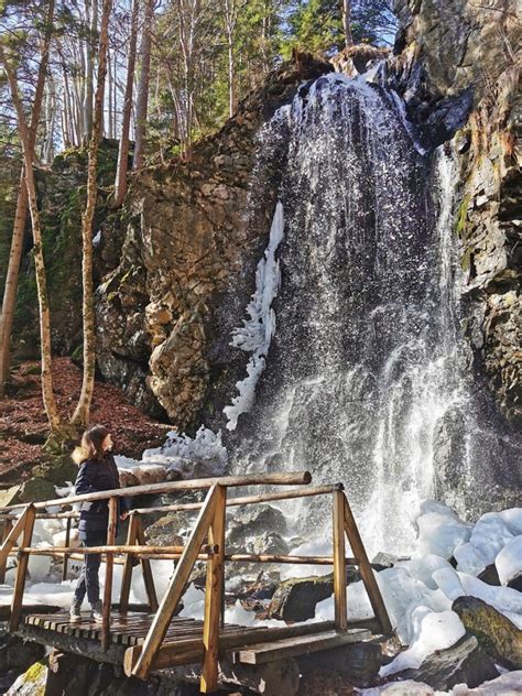 Slap Skalca v gozdni idili