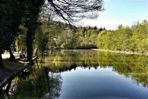 Tivolski ribnik z rastlinjakom in vrtom vrtnic v ozadju