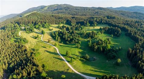 panoramski razgled na gozdove Kočevskega Roga