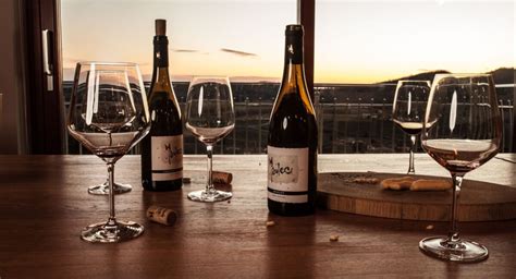 Steklenice vina Pulec z osvojenimi priznanji