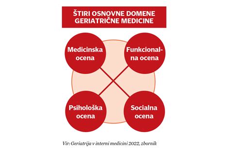 Diagram prikazuje ključne elemente kakovostne oskrbe starejših oseb
