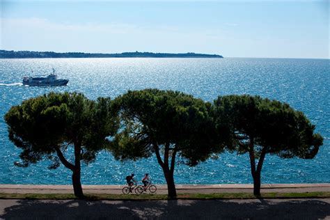Kolesar na slikoviti poti ob slovenski obali