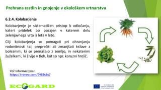 Diagram primerjave rasti rastlin na biodinamičnih in konvencionalnih tleh