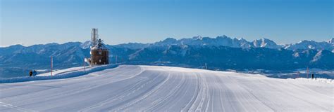 Ilustracija družine, ki uživa v nočnem smučanju