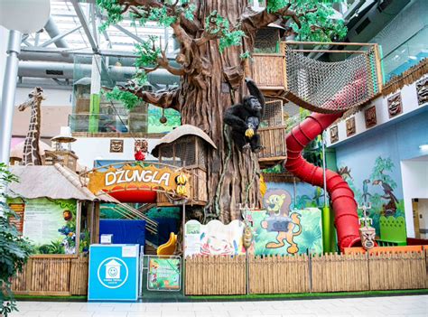 Otroški park Džungla Celje - notranjost