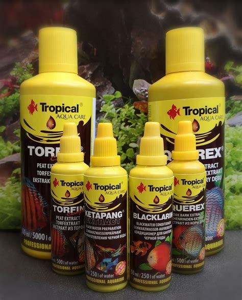 Čudovita plaža v Svetem Petru na Moru s kristalno čisto vodo in skalnatimi vhodi