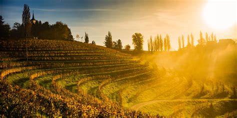 Panoramski razgled na Jeruzalemske gorice