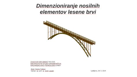 Lesene brvi, ki vodijo do Črnega jezera