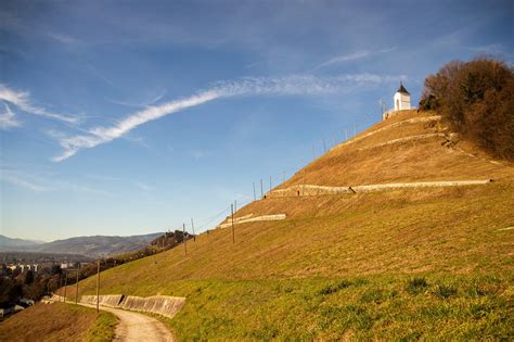 Vinograd na strmem dolenjskem griču s pogledom na Novo mesto
