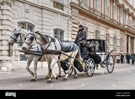 Horse-drawn carriage in Vienna