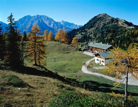 Poletni pogled na zelena pobočja Pohorja s planinsko kočo.