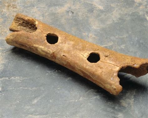 Detailna fotografija piščali iz Divjih bab