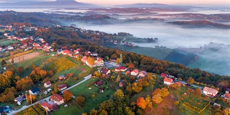 Vinogradi na pobočju Slovenskih goric