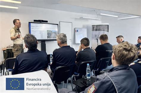 Primer kranjske stene v naravnem okolju