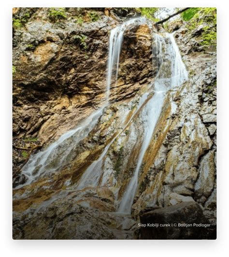 Slap v gozdni soteski Shenandoaha