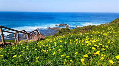 Ribiška pot nad Sesljanom
