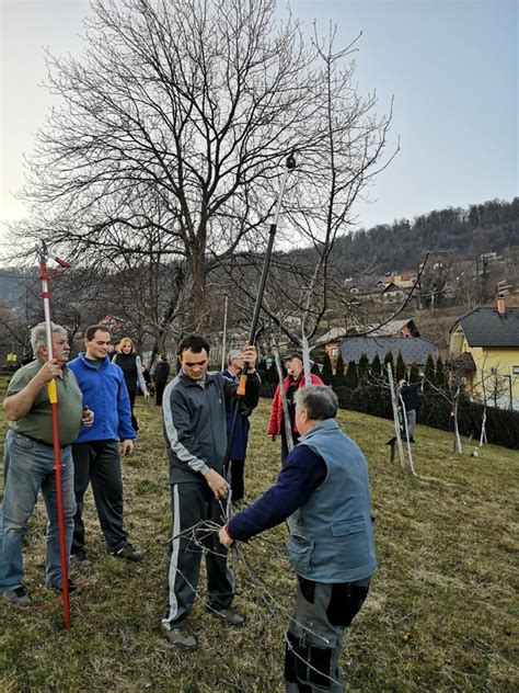 Prikaz različnih vrst grških jedi