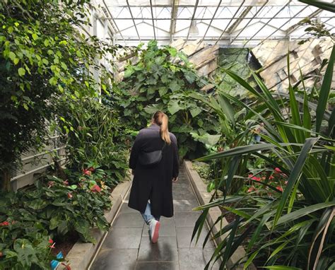 Tropski vrt z orhidejami in drugimi rastlinami