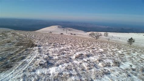 Ilustracija psa na povodcu v naravnem okolju kampa