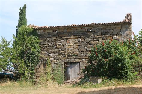 Istrska vas s kamnitimi hišami in vinogradi