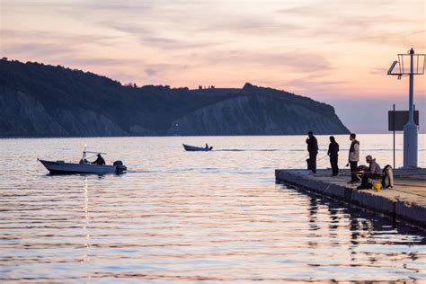 Slika Piranovega obzidja in pristanišča