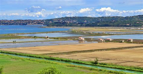 Panoramski pogled na Sečoveljske soline