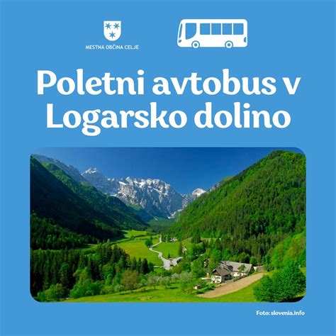 Pogled na Logarsko dolino s pobočja
