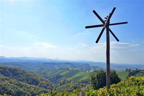 Klopotec na vinogradu