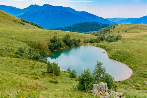 Slovenija v obliki srca, obdana z zelenimi simboli