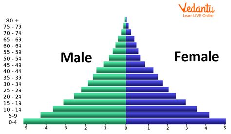 Population pyramid for postal code 4210, showing age and gender distribution
