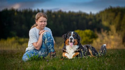 Notranjost lesene sobe za spanje na seniku s posteljami