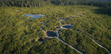 Lovrenška jezera na Pohorju