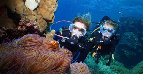 Skupina turistov snorklja v koralnem grebenu