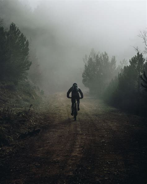 Fotografija kamnite poti, ki vodi proti morju na Mljetu