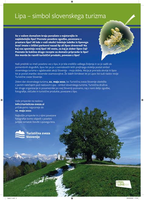 Simbol zelene sheme slovenskega turizma