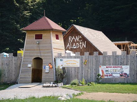 Ranč Aladin z dvogrbo kamelo