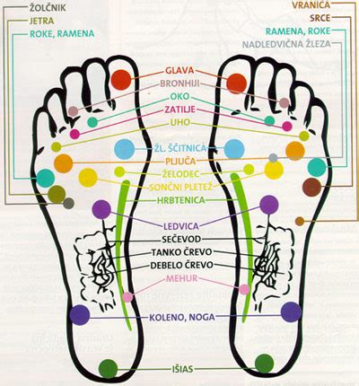 Diagram refleksnih točk na stopalu