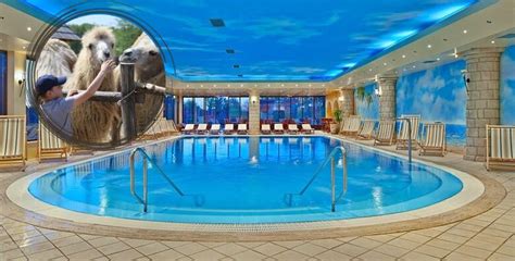 Notranjost luksuznega bazena v wellness centru