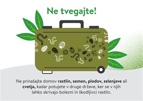 Simbolična ilustracija kovčka z etiketo