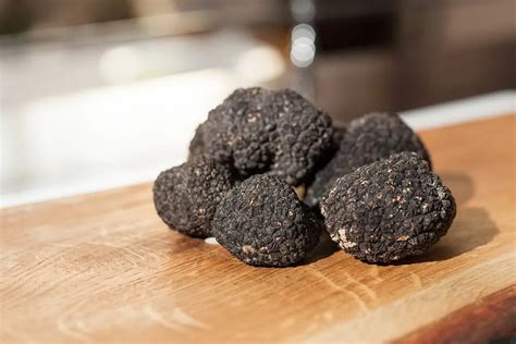 Ilustracija tartufov in kulinaričnih specialitet Istre