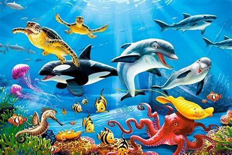 Podvodni svet Bonaira z raznolikimi koralami in ribami