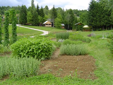 Fotografija Kmetije Plavica z vrtom zdravilnih rastlin