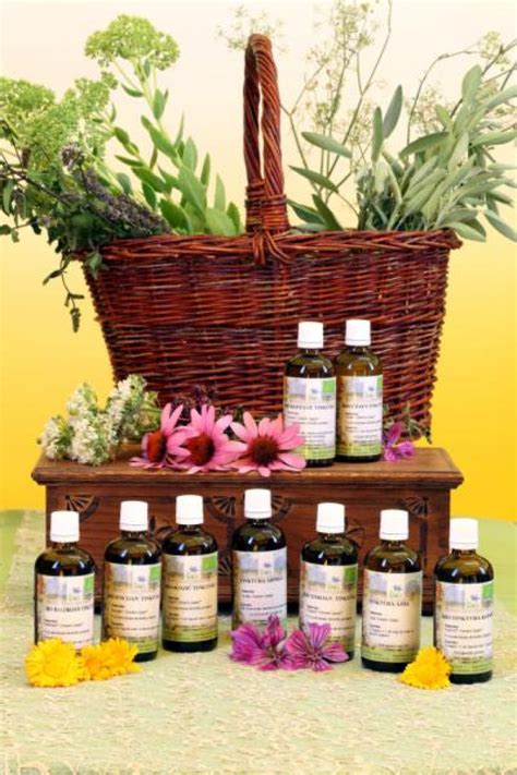 Slika različnih ajurvedskih izdelkov Kmetije Plavica