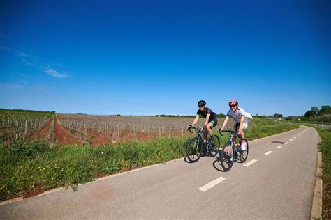 Kolesarji na poti skozi vinograde v Istri